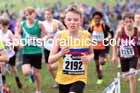 Boys Under-13s, 2024 CAU Inter Counties Cross Country Champs., Wollaton Park, Nottingham. Photo: David T. Hewitson/Sports for All Pics